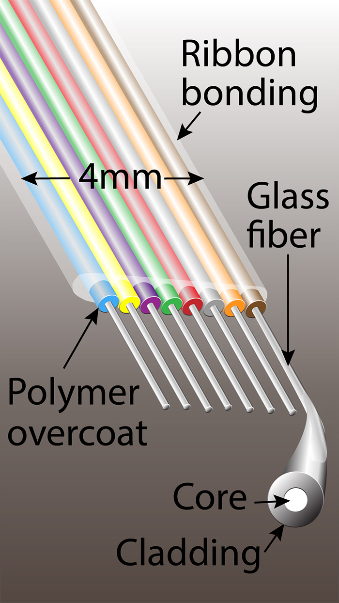 上圖為帶狀光纖 單根光纖的橫截面只比人的頭發略微粗一些2.jpg